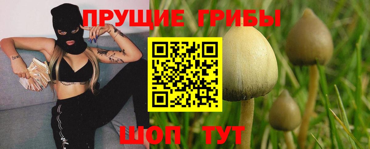 Псилоцибиновые грибы мицелий  как найти   Пятигорск  Вход с VPN  Псилоцибиновые грибы Psilocybine cubensis 
